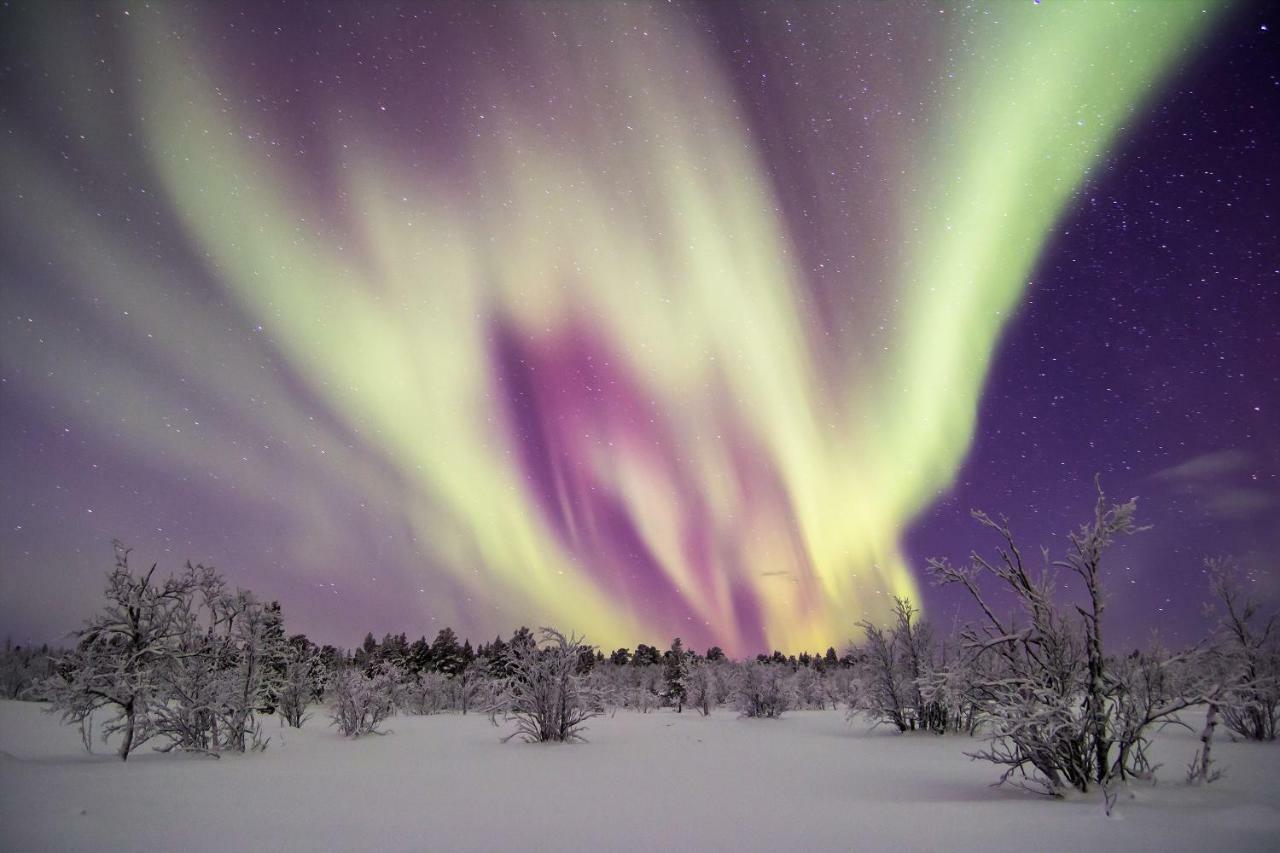 Skyvillage Kurravaara 외부 사진